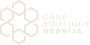 Hotel Boutique Nebrija